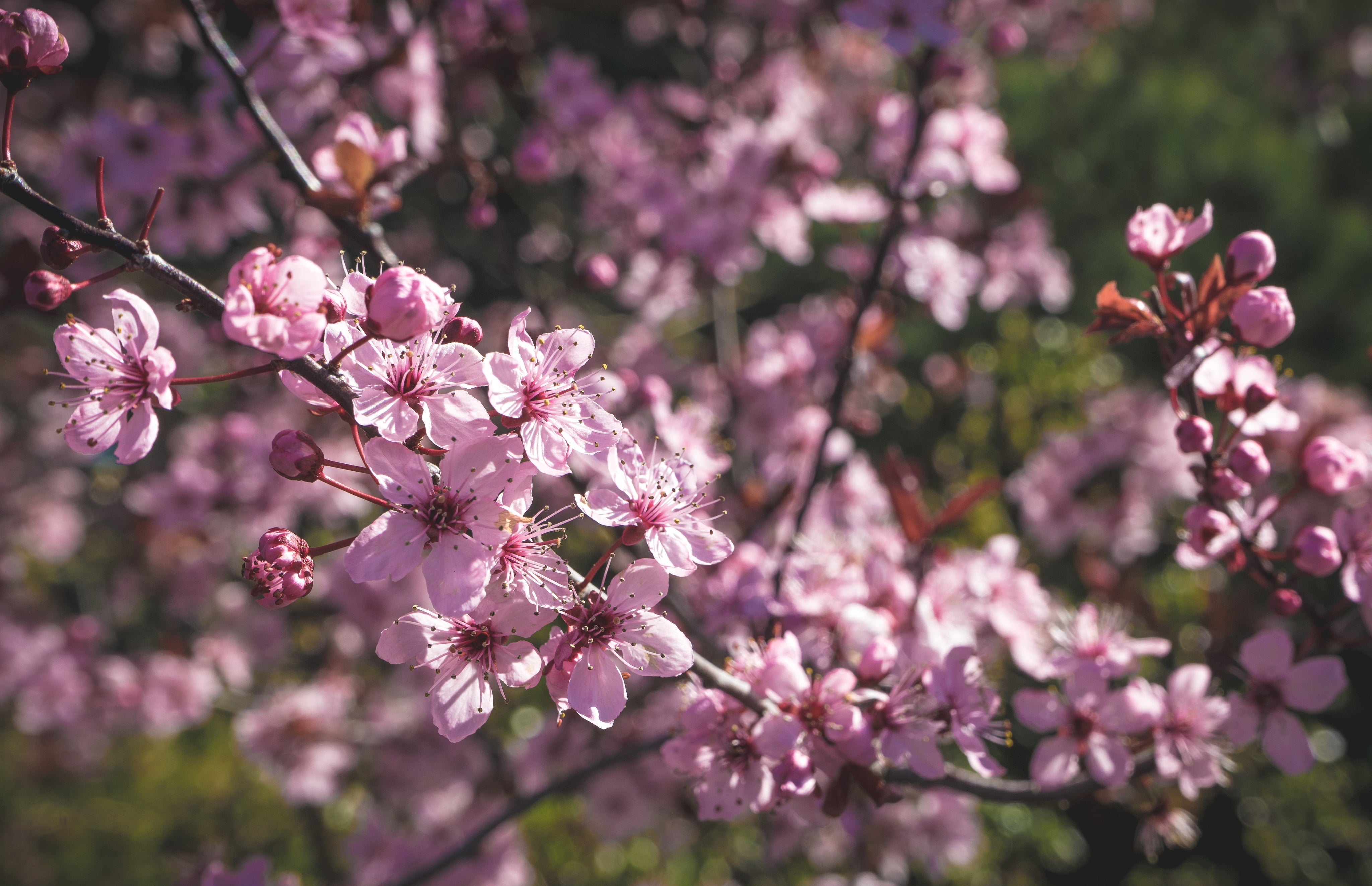 Produits cosmétiques spécial Printemps